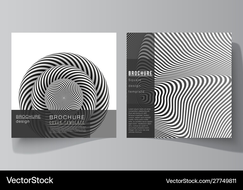 Minimal layout two square format Minimal layout two square format vector image