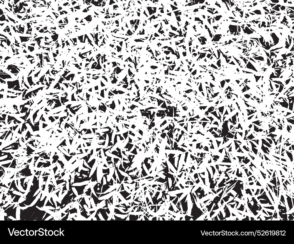 Grunge grass texture background abstract Vector Image