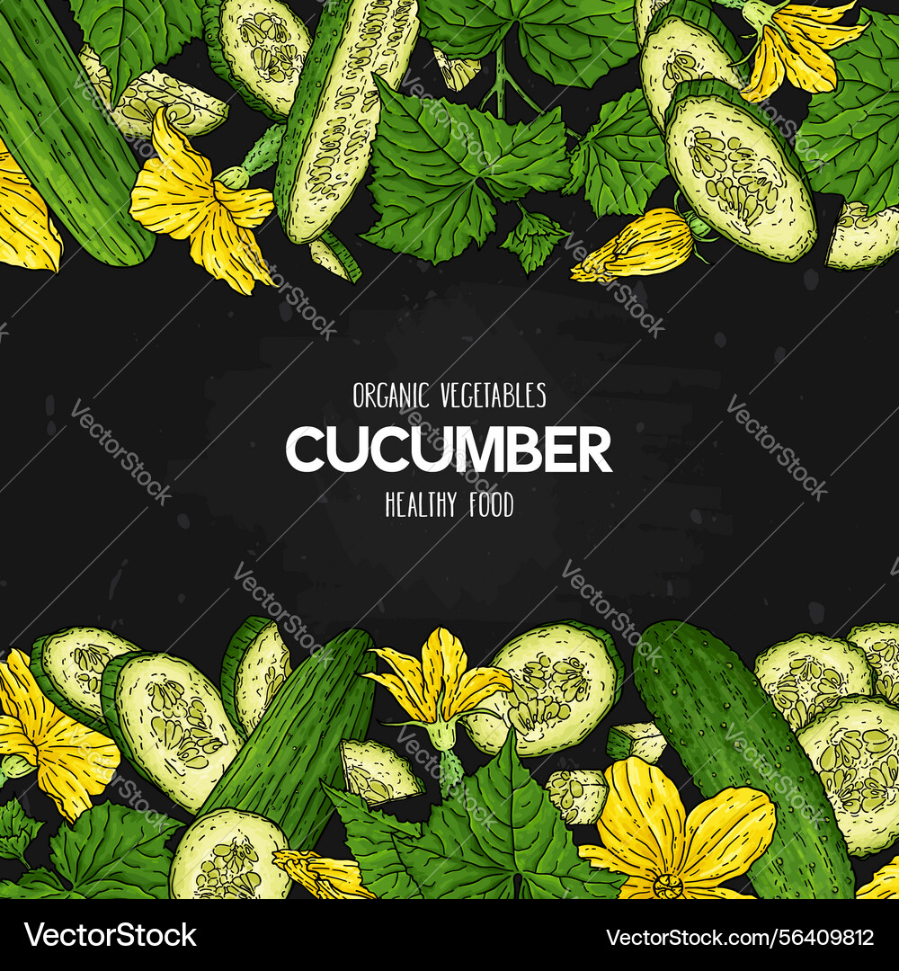 Hand drawn frame with cucumber Hand drawn frame with cucumber vector image