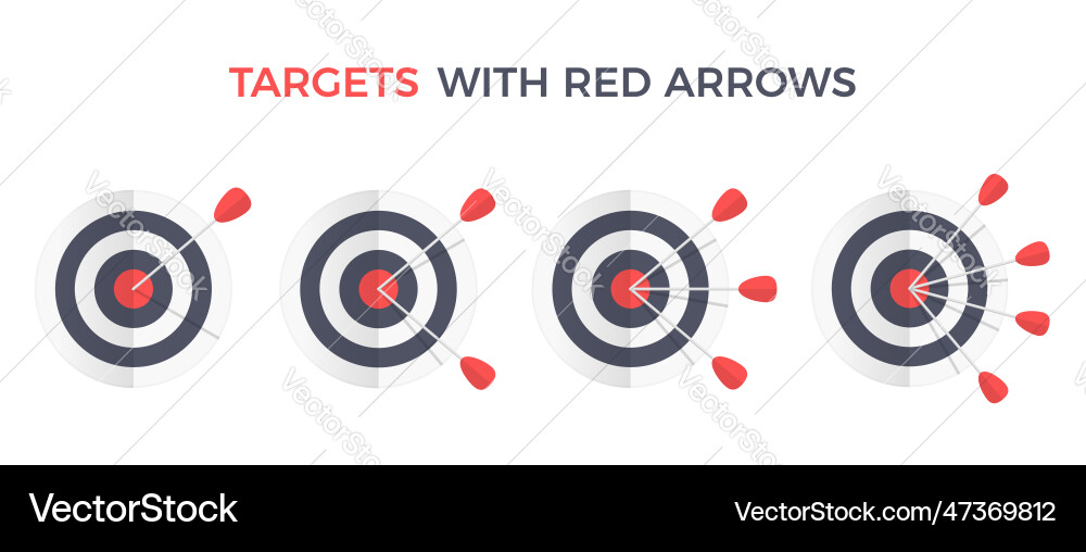 Target with Multiple Arrows vector image