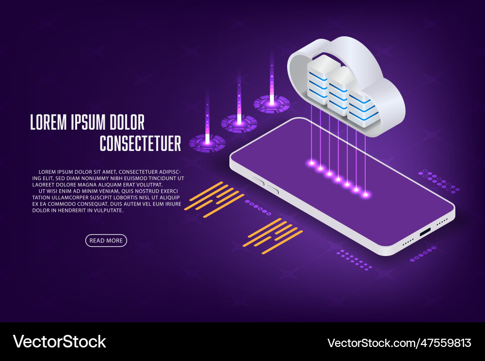 Isometric mobile user login security transfer Isometric mobile user login security transfer vector image