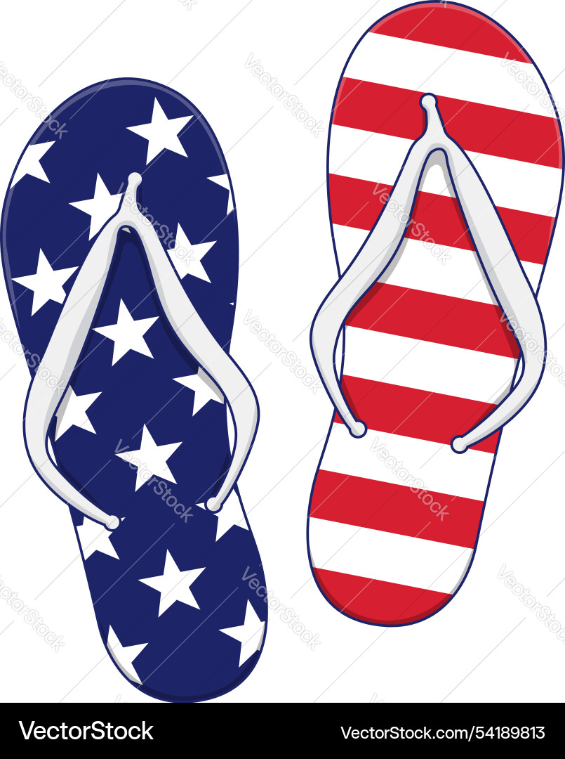 USA Flag Flip Flops vector image