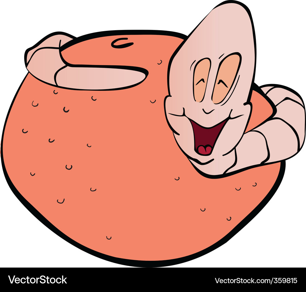 Worm and grapefruit Vector Image