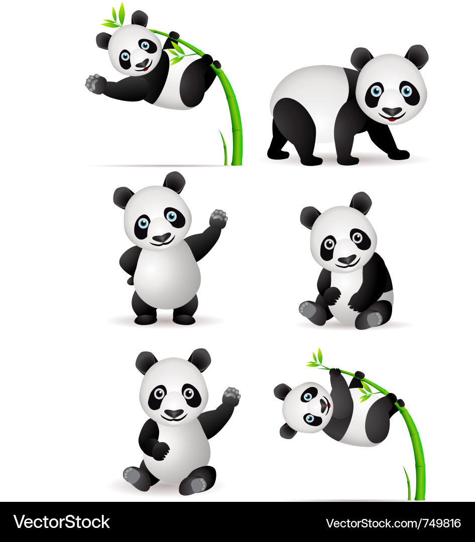 Cute Panda Collection Vector Image