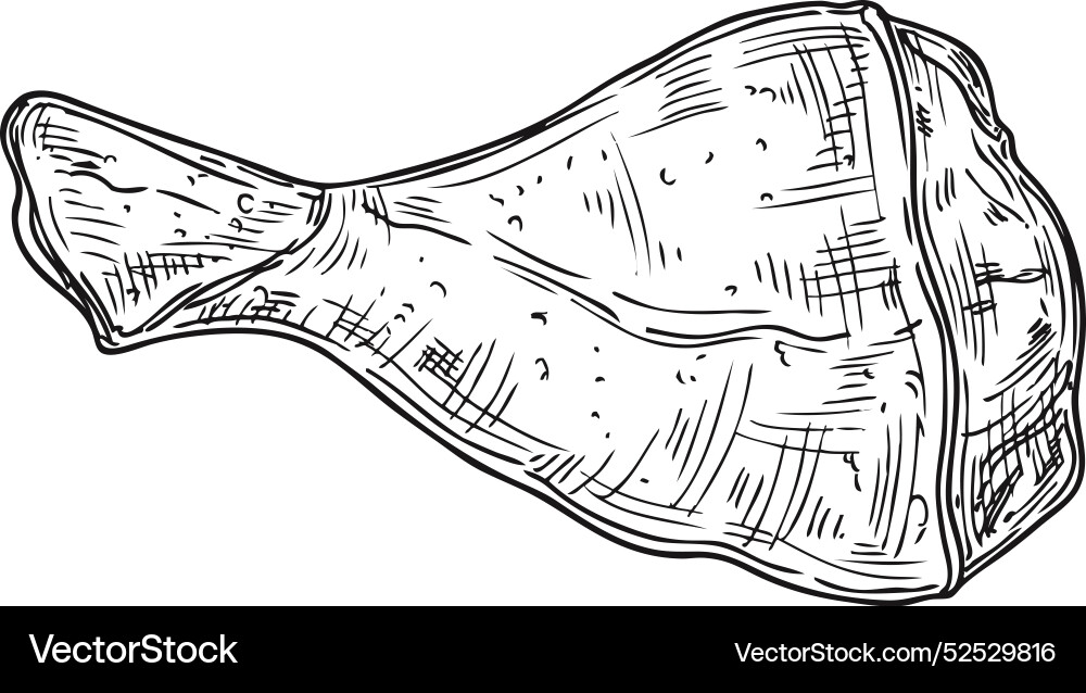 Hühnerbein Gravur geröstetes Vogelfleisch Skizze Hühnerbein Gravur geröstetes Vogelfleisch Skizze vektorbild