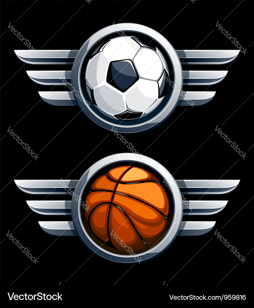 Sport Balls with Wings Vector Image
