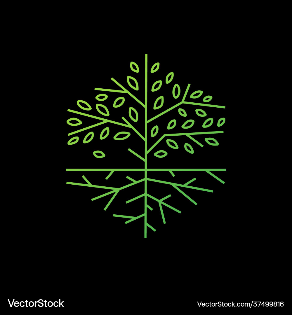 Tree root hexagonal outline logo icon Tree root hexagonal outline logo icon vector image