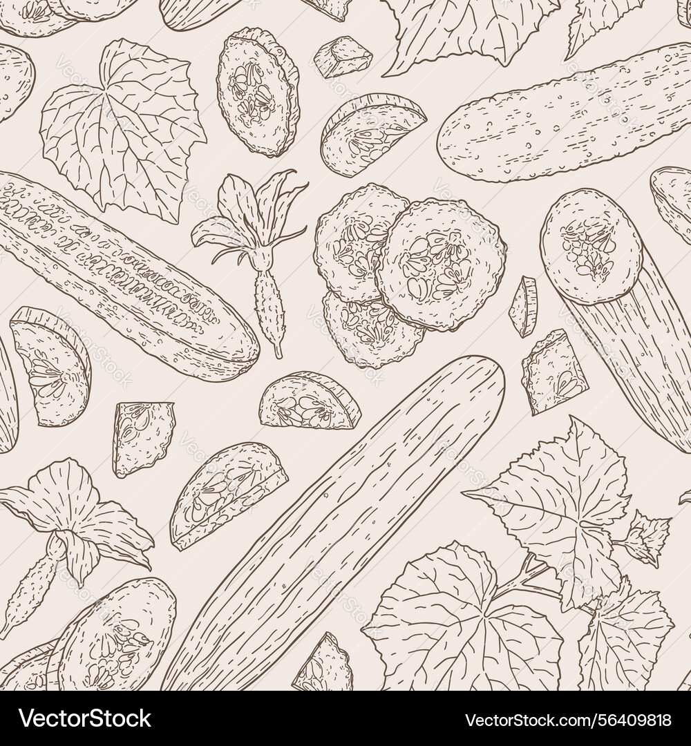 Linear seamless pattern with cucumbers Linear seamless pattern with cucumbers vector image