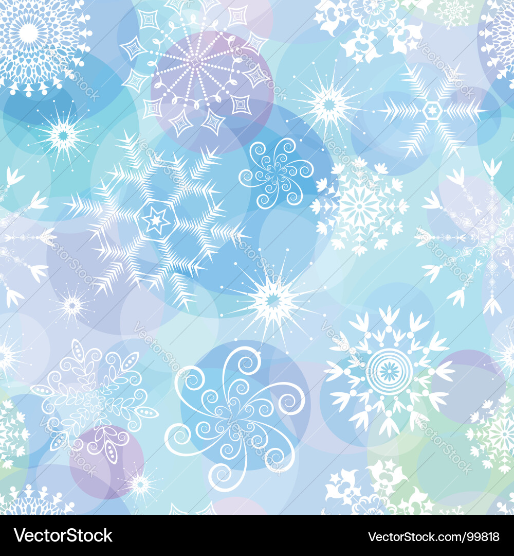 Winter Snowflake Pattern vector image