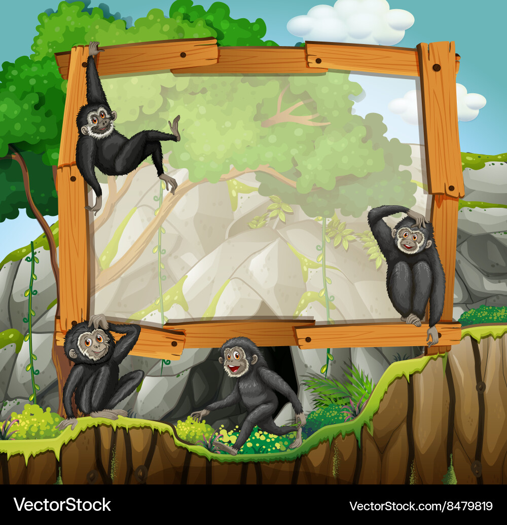 Frame design with gibbons at the cave vector image