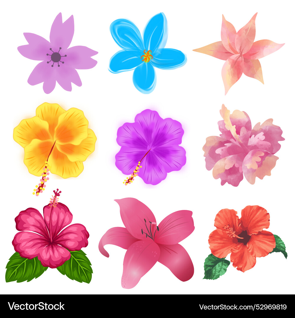 Spring floral templates set Royalty Free Vector Image
