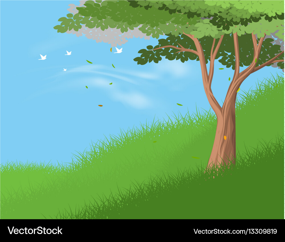 Tree on hill Vector Image