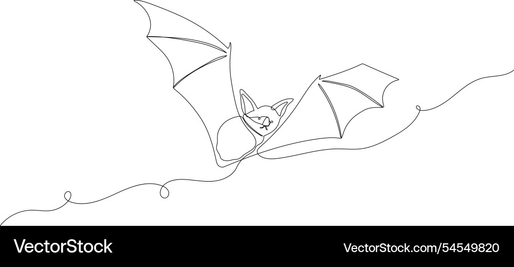 Bat one line continuous Bat one line continuous vector image