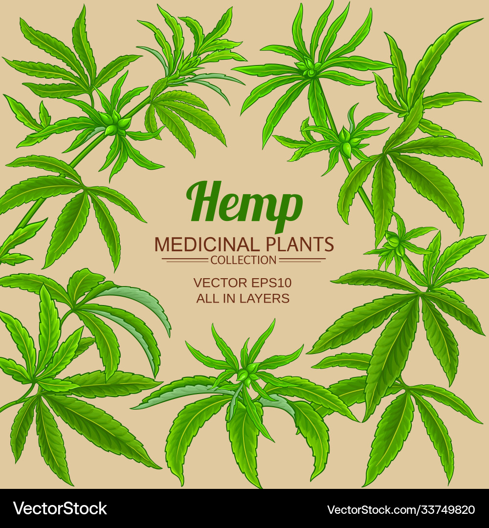 Hemp branches frame on color background Vector Image
