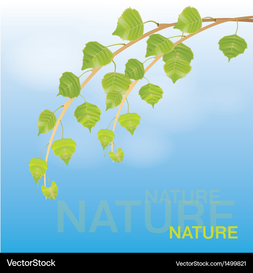 Branch with Floral Elements Vector Image
