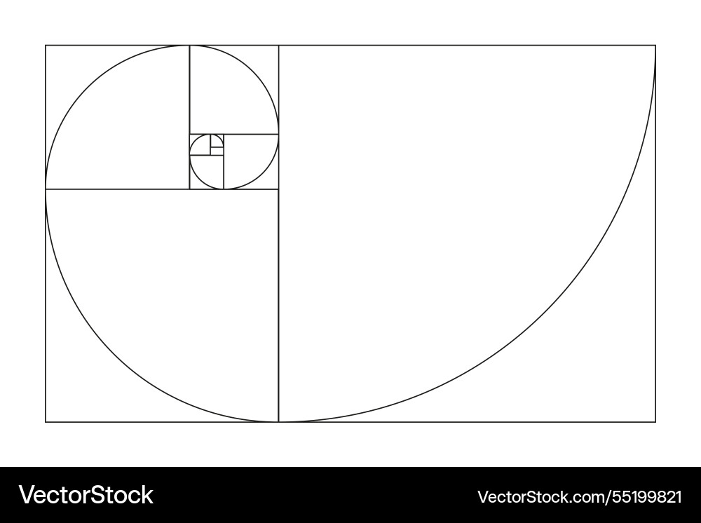 Fibonacci array numbers golden proportions Fibonacci array numbers golden proportions vector image