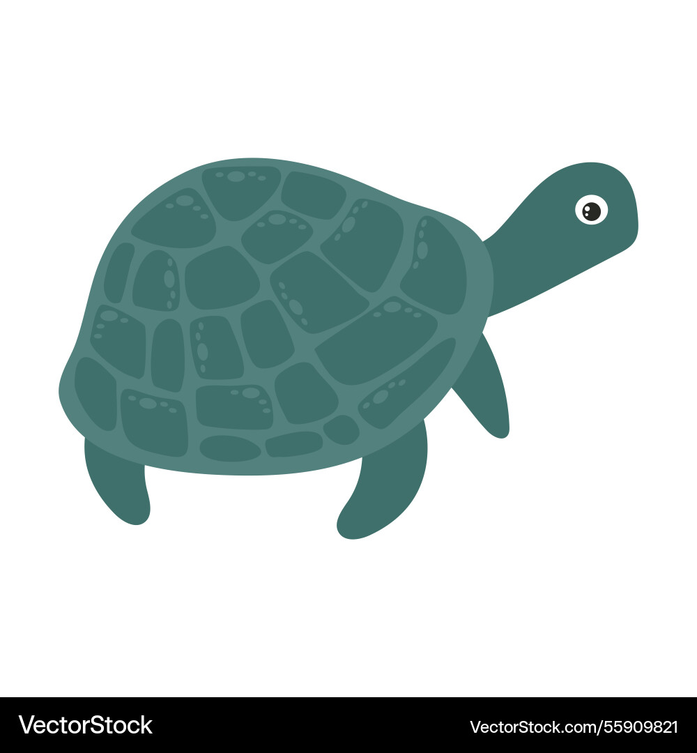 Turtle is cute green in color with a shell Vector Image