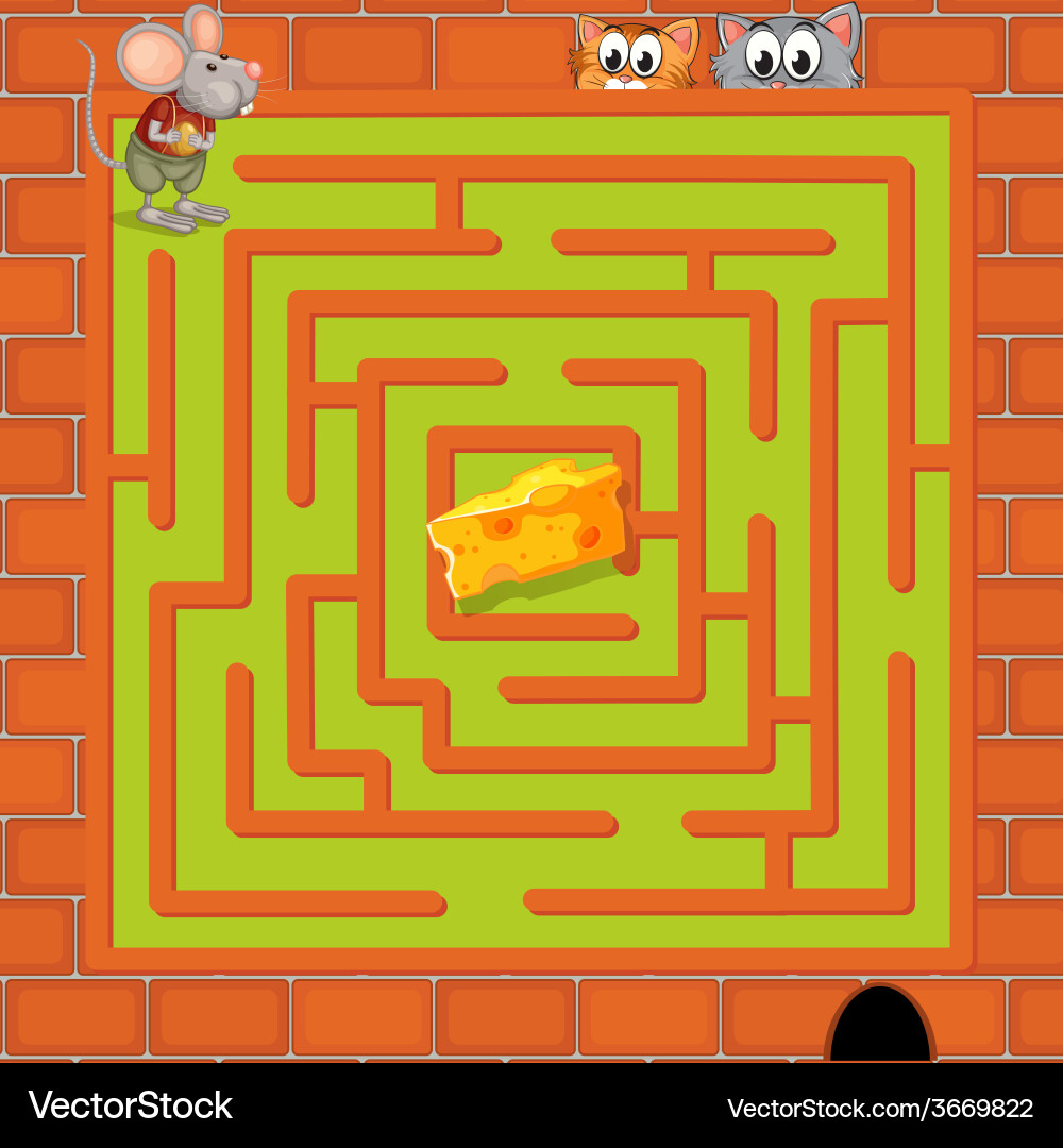 Maze vector image