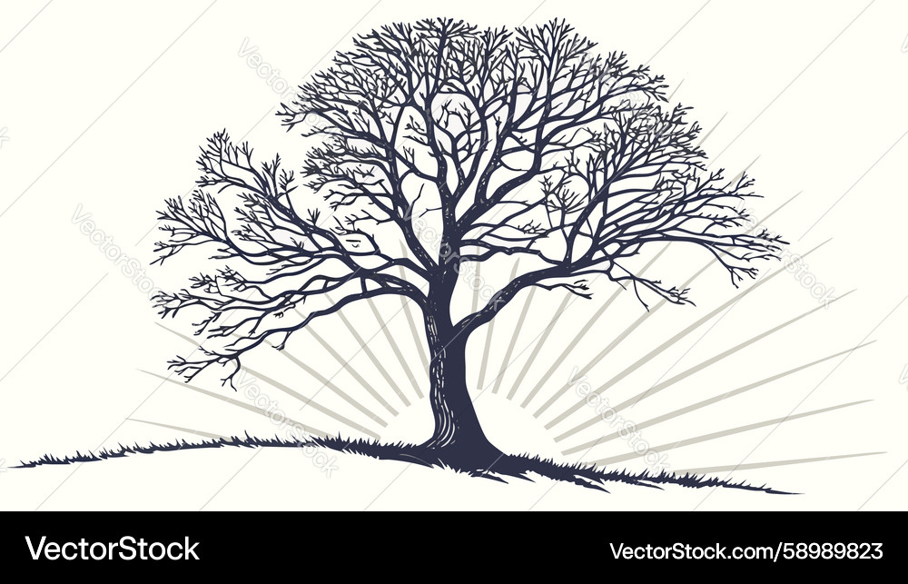 Cross-Hatch Grid Pattern Vector Image