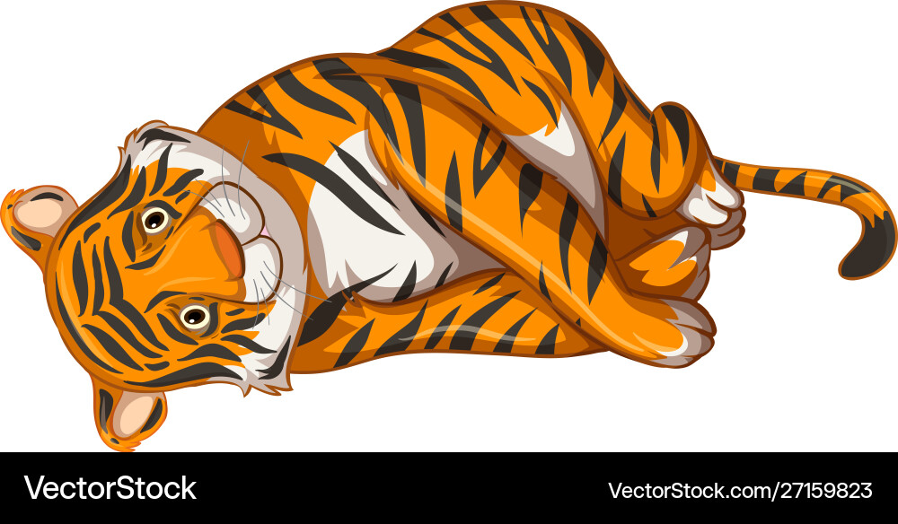 Sad tiger on white background Sad tiger on white background vector image
