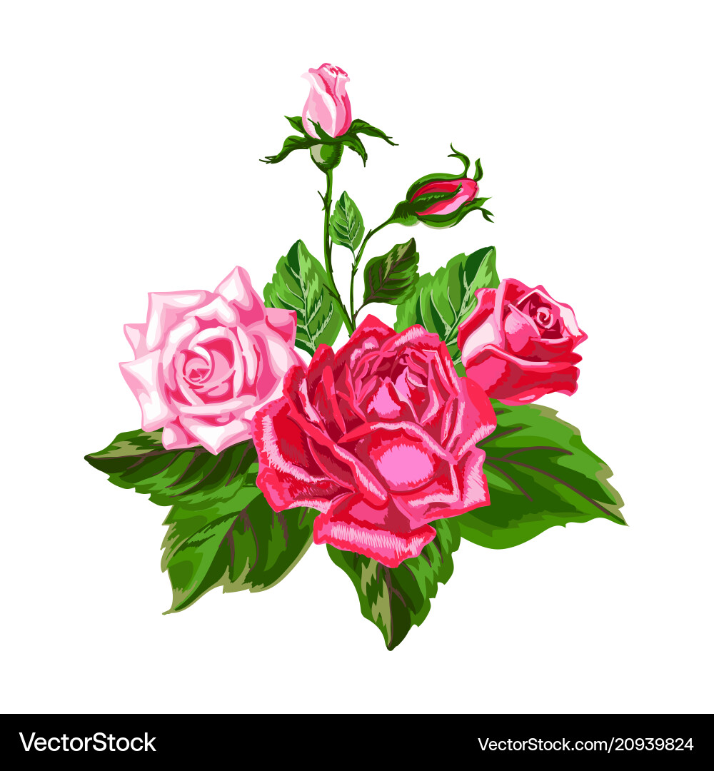 Bouquet with roses vector image
