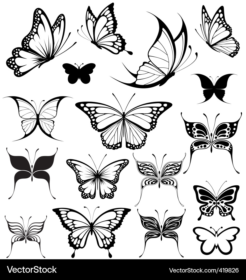 Butterflies vector image