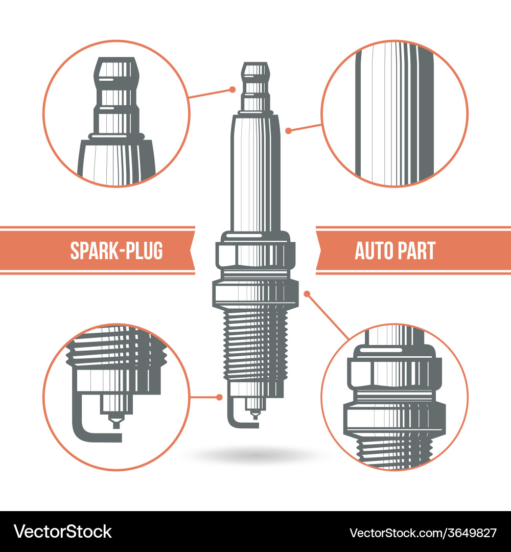 Spark plug auto part vector image