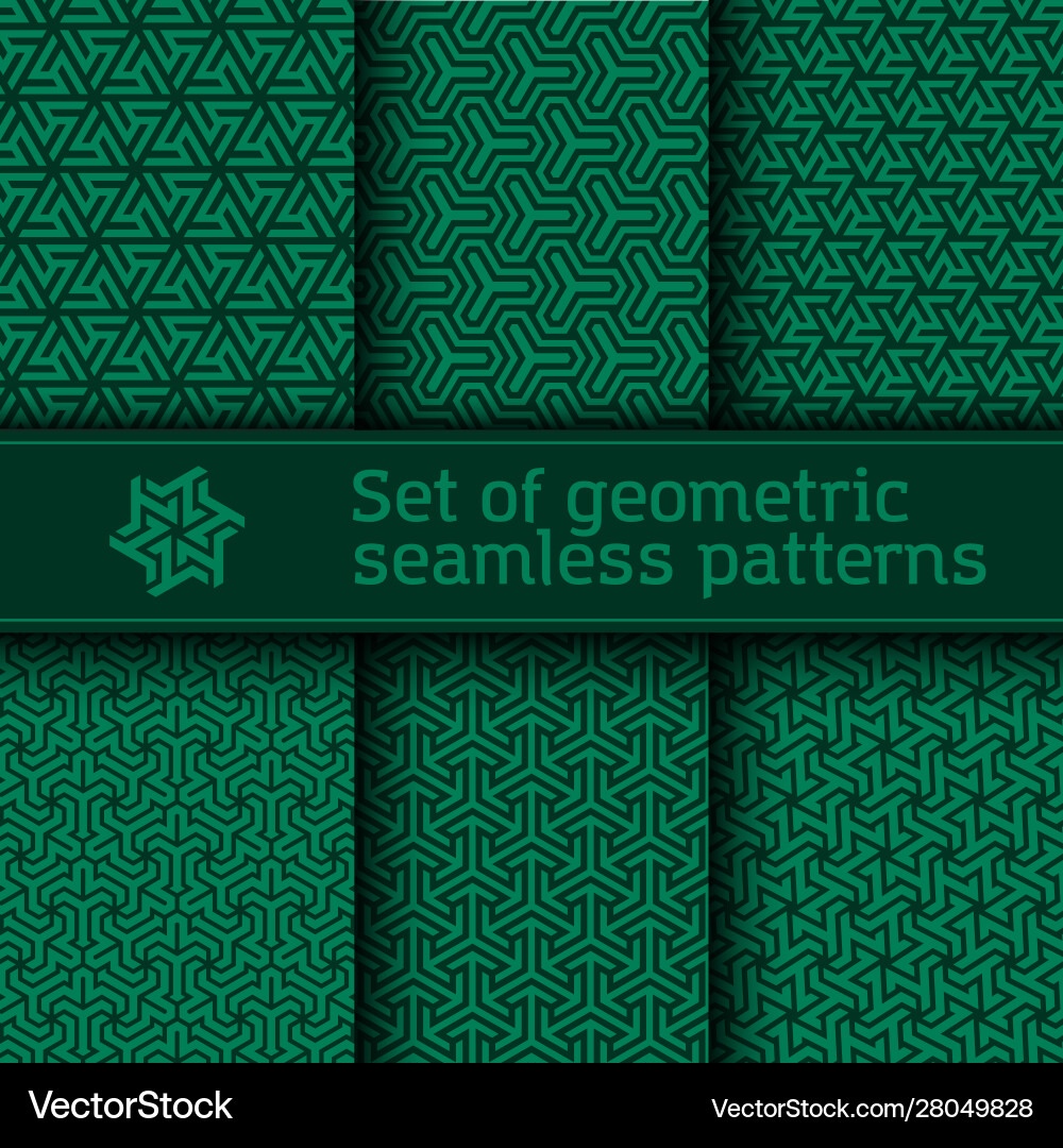 Geometric Hexagonal Tessellation Pattern vector image