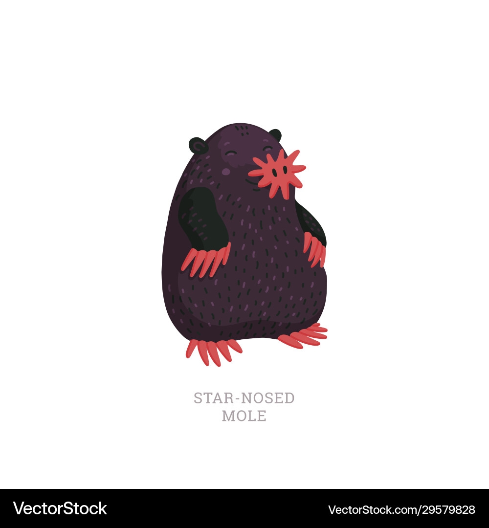 Rare animals collection star-nosed mole Rare animals collection star-nosed mole vector image