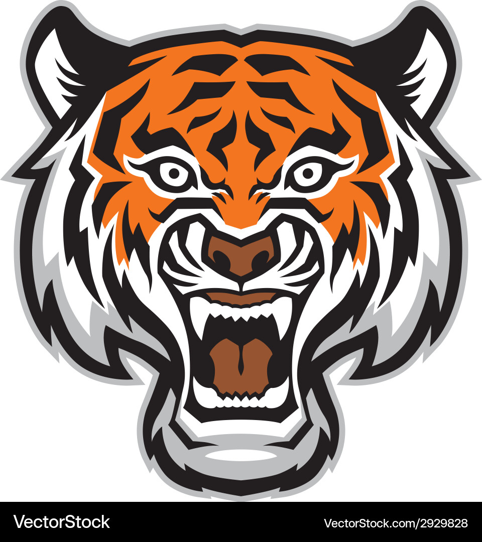 Tiger Mascot Head Vector Image