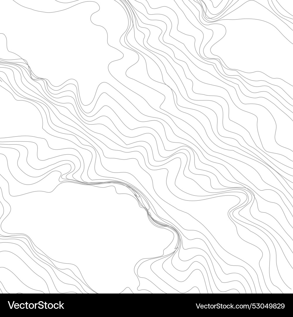 Abstract background of curved lines the pattern vector image