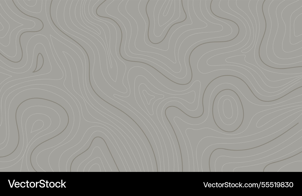 Abstract contour map on gray background Abstract contour map on gray background vector image