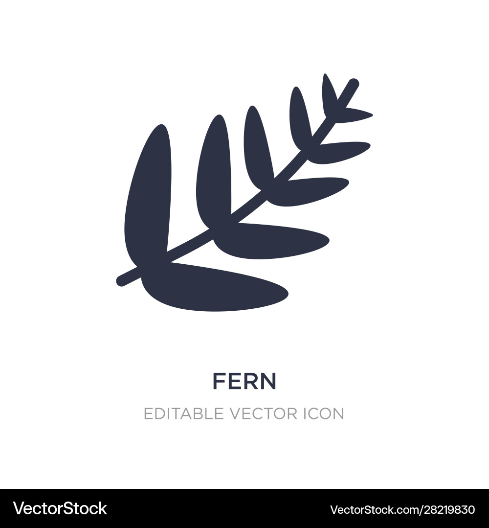 Fern icon on white background simple element from Fern icon on white background simple element from vector image