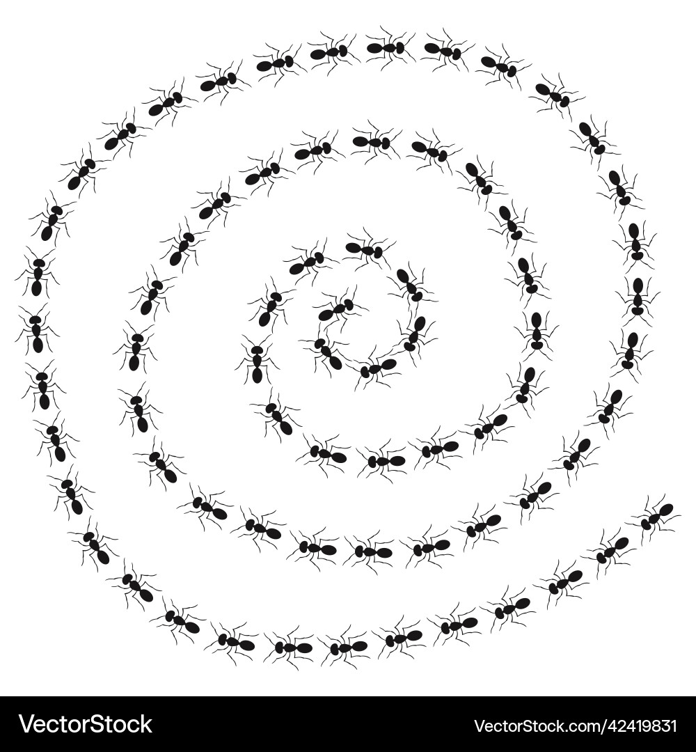 A path of ants running view from above trail A path of ants running view from above trail Vector Image