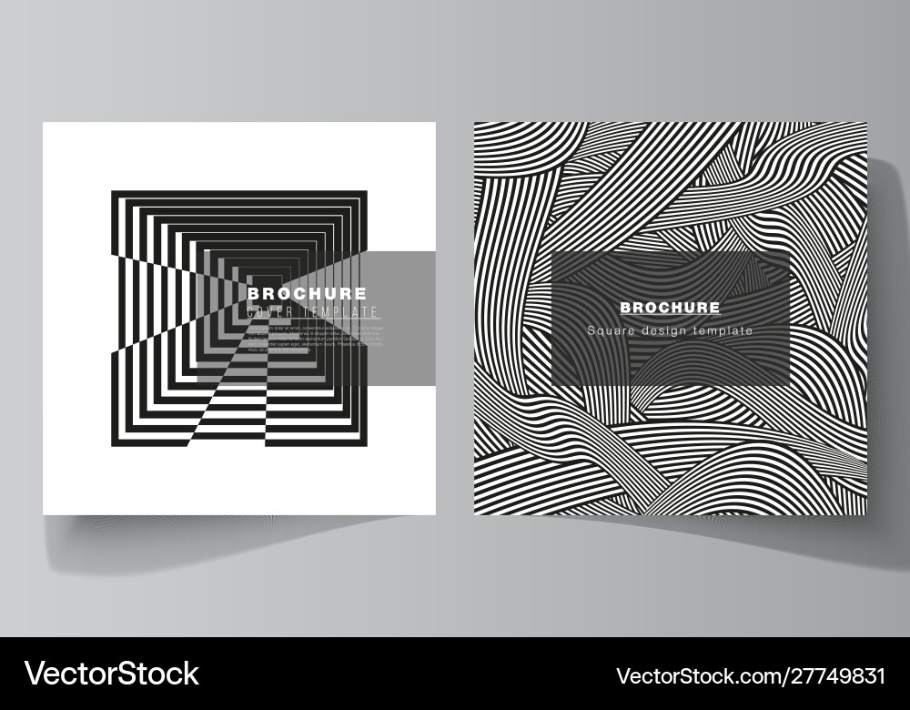 Minimal layout two square format Minimal layout two square format vector image