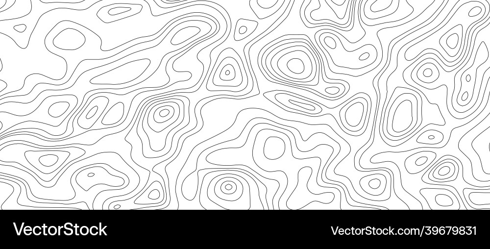 Topographic Line Map Pattern Vector Image