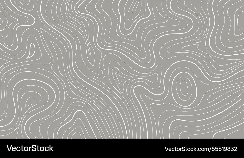 Abstract contour map isolated on gray background Abstract contour map isolated on gray background vector image