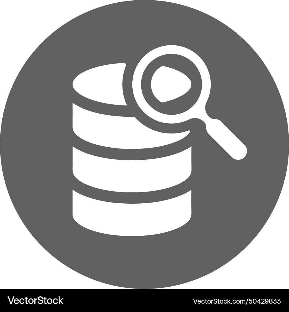 Search database icon Vector Image