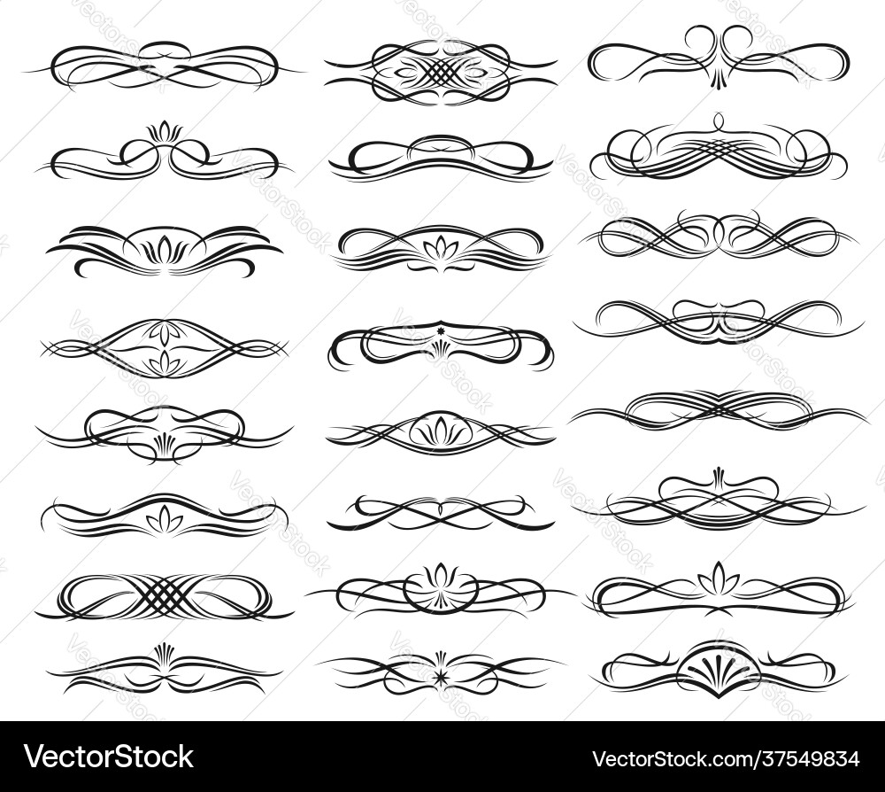 Floral monochrome headers and dividers set Floral monochrome headers and dividers set vector image