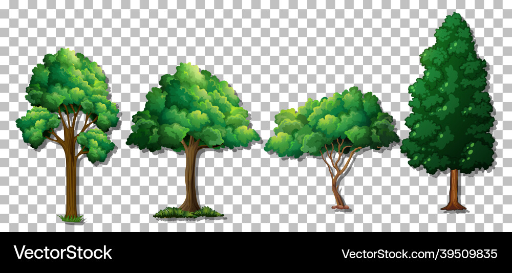 Set of various trees on transparent background vector image