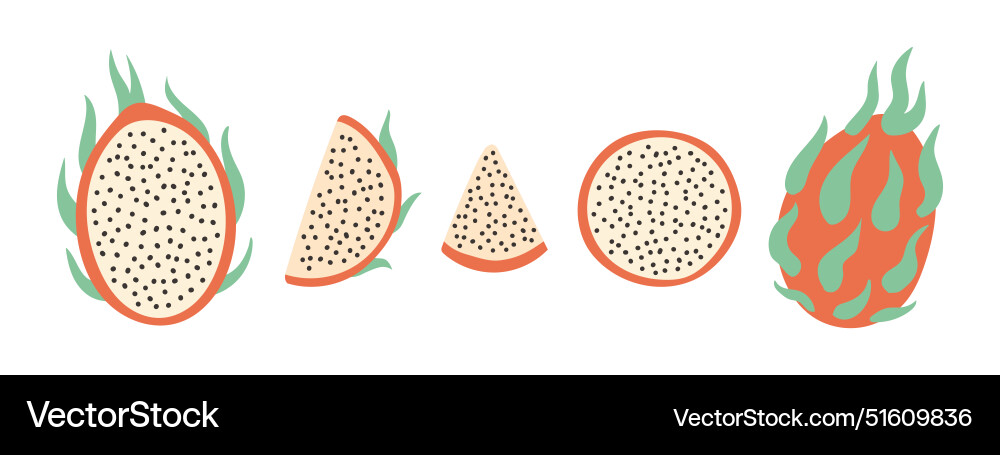 Set of abstract pitahaya simple Set of abstract pitahaya simple vector image