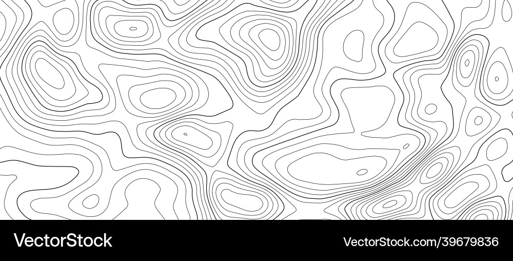 Topographic Line Map Pattern Vector Image