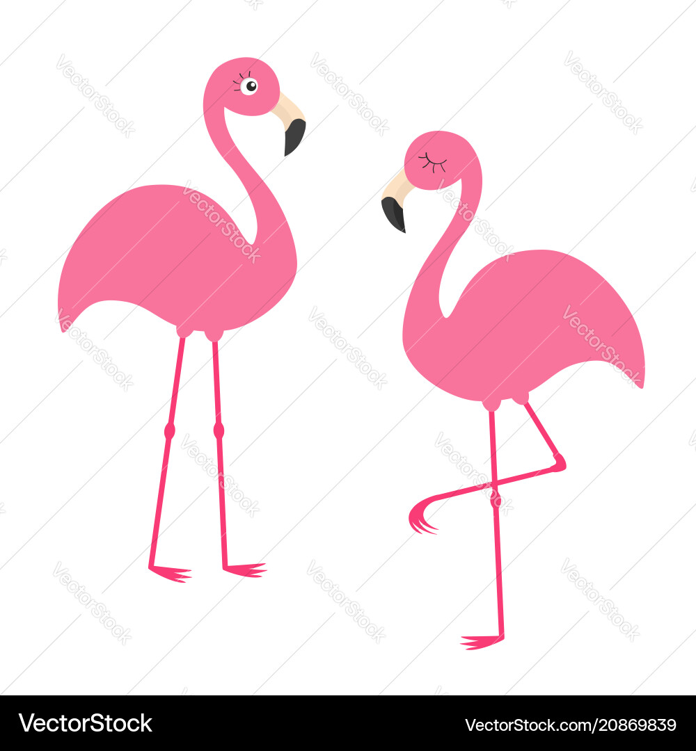 Two pink flamingo set exotic tropical bird Two pink flamingo set exotic tropical bird vector image