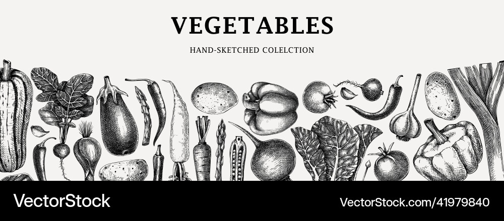 Hand-sketched vegetables design hand-drawn Hand-sketched vegetables design hand-drawn vector image