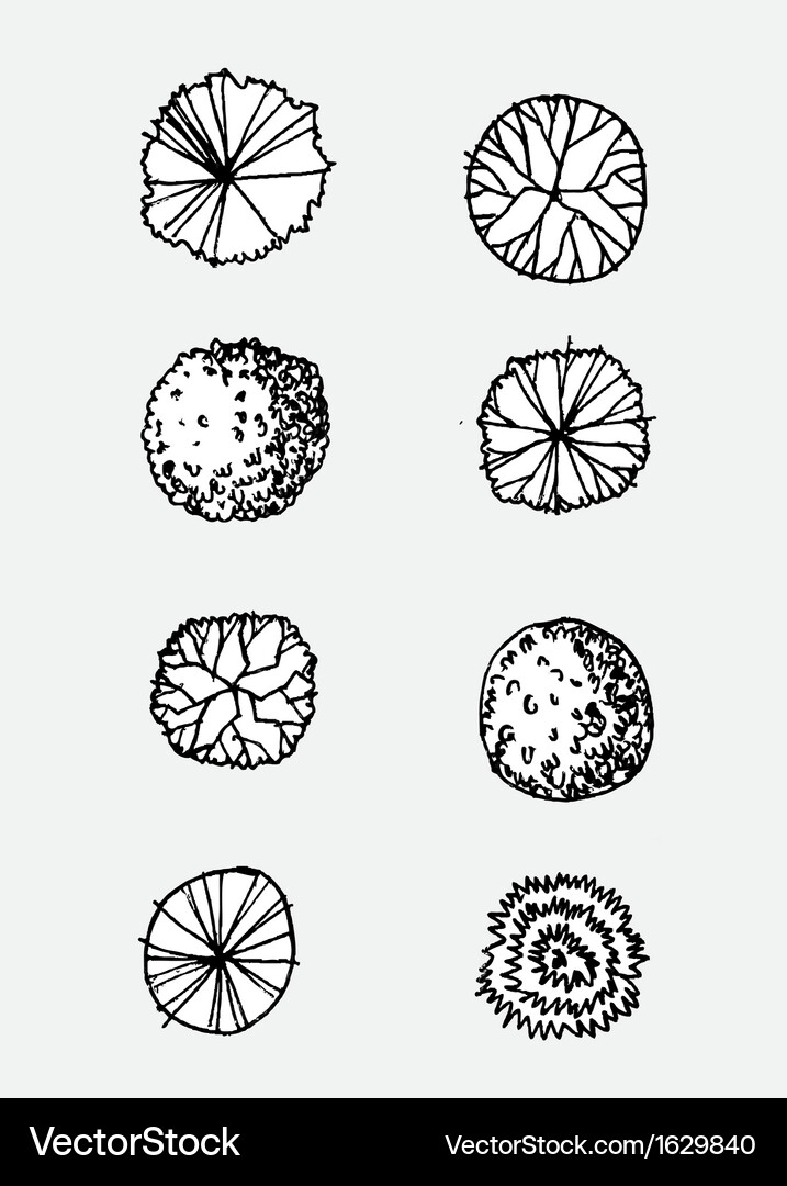 Trees design background Vector Image