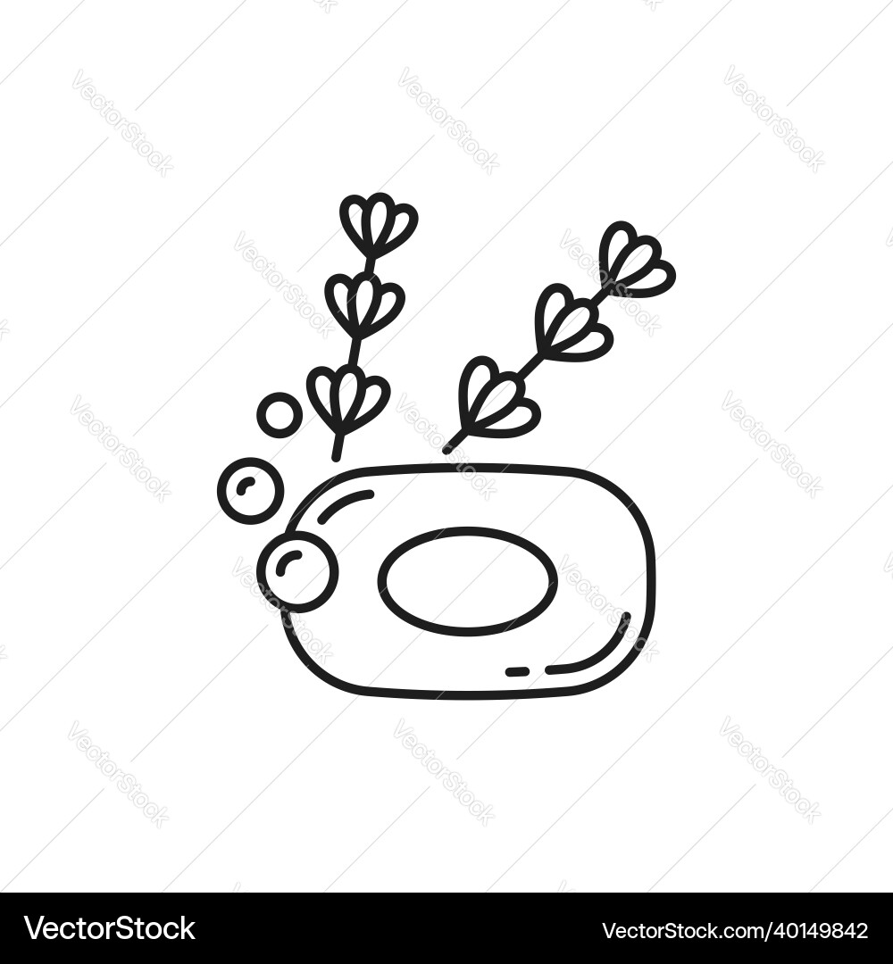 Lavender soap bar herbal flowers bubbles outline Lavender soap bar herbal flowers bubbles outline vector image