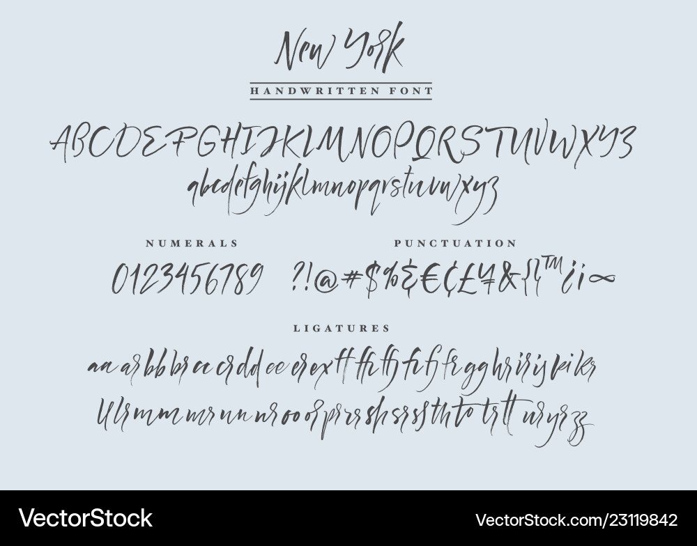 New York Script Font - Calligraphic Style vector image