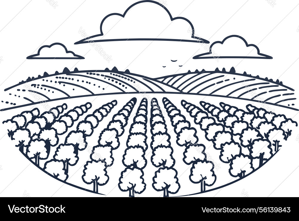 Lush agricultural fields with tree rows Vector Image