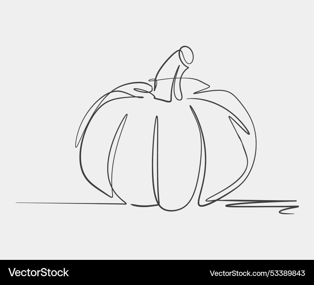 Minimalist line drawing of a pumpkin Minimalist line drawing of a pumpkin vector image