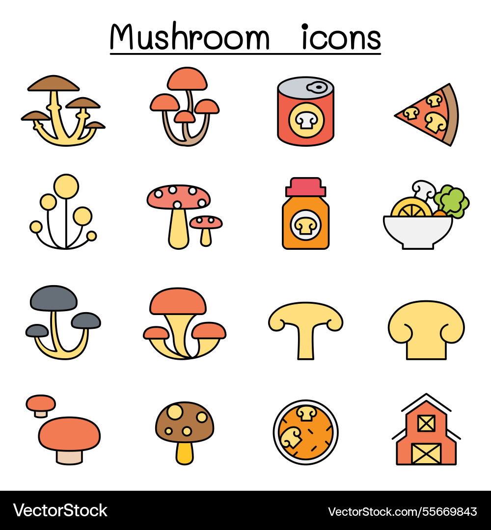 Mushroom icon set in color line style Mushroom icon set in color line style vector image